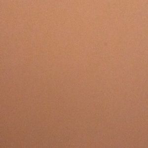 Meet your Posher, Brandy